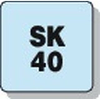 Konuswischer SK40 Holzkrper