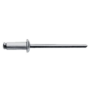 Blindniet DIN EN ISO15977 Kopf-D6xL10mm Stift-D.12 mm Alu/Stahl Flachkopf