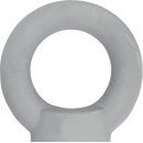 Ringmutter DIN 582 Gew.M10 STA C15 ZN 50St./VE
