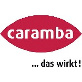 Scheibenreiniger Konzentrat 1:100 250 ml Flasche CARAMBA