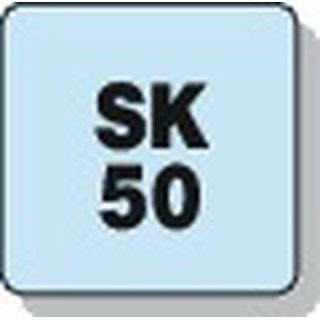 Konuswischer SK50 Holzkrper