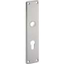 Renovierschild 220 H VA F00 PZ Entf.92mm EDI