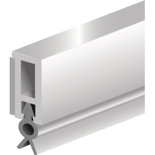Abdichtungsschiene PTS-ZK L.2100mm B.6mm blk weiß m.weich PVC-Lippe ELLEN