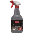Grillreiniger 750ml Sprühflasche BALLISTOL