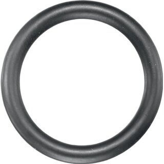 Gummisicherungsring 720 GR AD ca.21mm ASW