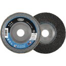 Fächerscheibe LONGLIFE C-TRIM D.125mm K.80...