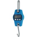 Hängewaage Heavy-Duty 100kg PESOLA