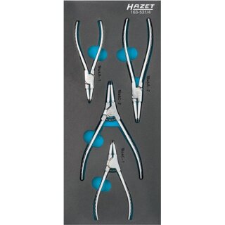 Werkzeugmodul 163-385/12 12-tlg.HAZET