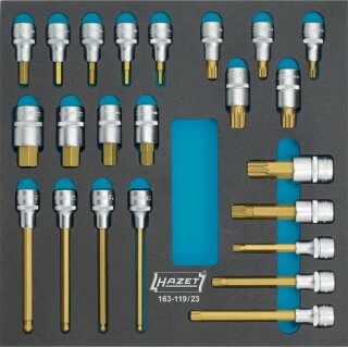 Werkzeugmodul 163-119/23 23-tlg.HAZET