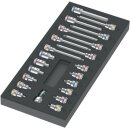 Werkzeugmodul 9723 22-tlg.WERA