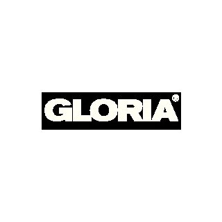 Schaumfeuerlöscher 6l Aufladegerät Brandkl.34 A 144 B m.Wandh.GLORIA