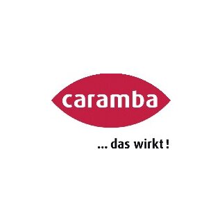 Ku.Reiniger Easy Clean 500ml Sprühflasche CARAMBA