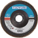 Fächerscheibe D.125mm K.40 fl.INOX ZK TECWERK