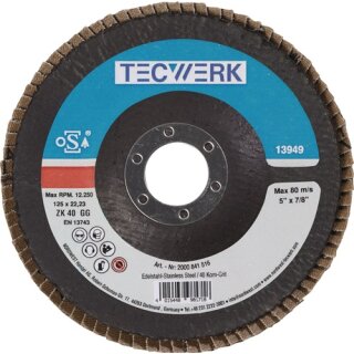Fächerscheibe D.125mm K.80 fl.INOX ZK TECWERK