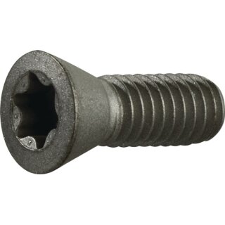 Spannschraube Gr.T20 f.TCMT 16/SCMT 12 z.Fasenfräser TECWERK