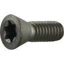 Spannschraube Gr.T20 f.TCMT 16/SCMT 12 z.Fasenfräser...
