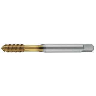 Gewindeformer DIN 2174 (DIN 371) M6 Form C HSS-Co TiN 6HX m.SN TECWERK