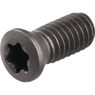 Spannschraube WS0410 Gr.T15 TECWERK