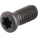 Spannschraube WS0410 Gr.T15 TECWERK