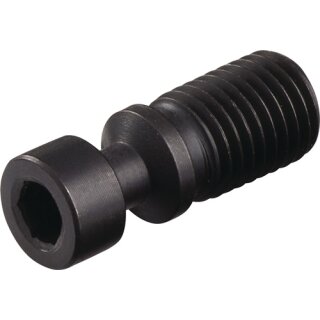 Spannschraube KH0617-S3 TECWERK