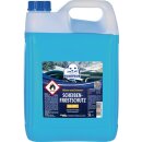 Scheibenreiniger mit Frostschutz
