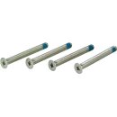 Schraubenset