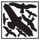 Aufkleber L290xB320 mm Vogelschutzset,Vogelsymbole Folie...