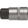 Steckschlüsseleinsatz 1/2 Zoll Innen-6-kant SW 19mm L.55mm TECWERK