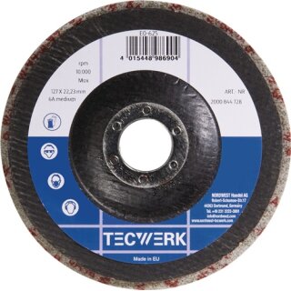 Vlies-Kompaktscheibe BUF017 D.125mm Bohr.22,23mm m.Fiberglasrücken anth.TW