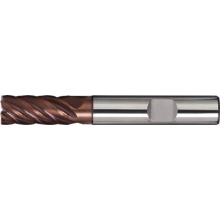 Schaftfräser DIN 6527L TypN D.6mm VHM TiAlN 35-38Grad HB Z.6 lang TECWERK
