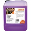 Grünbelagentferner NeoClean Konzentrat 5l NOVADUR
