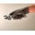Einw.-Handsch.TouchNTuff 93-250 Gr.7,5-8 anthrazit Nitril 100 St./Box