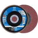 Fächerschleifscheibe PFF 125 A 40 SG/22,23...