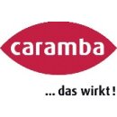 Intensivkaltreiniger 500 ml Spraydose CARAMBA
