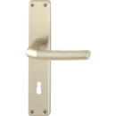 Langschildgarnitur Birm.1117/202SP Alu.F2 OB 72mm DIN L/R...