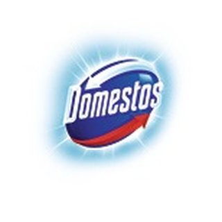 Hygienereiniger Prof.Classic 5l Kanister DOMESTOS