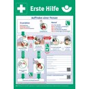 Erste-Hilfe-Plan n.DGUV Information 204-001 L410xB590mm Ku.