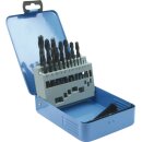 Spiralbohrersatz DIN338 Typ N D.1-10x0,5mm HSS-R...
