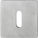 Schlüsselrosetten-Paar E848NS VA F69 Schildst.2mm OB...